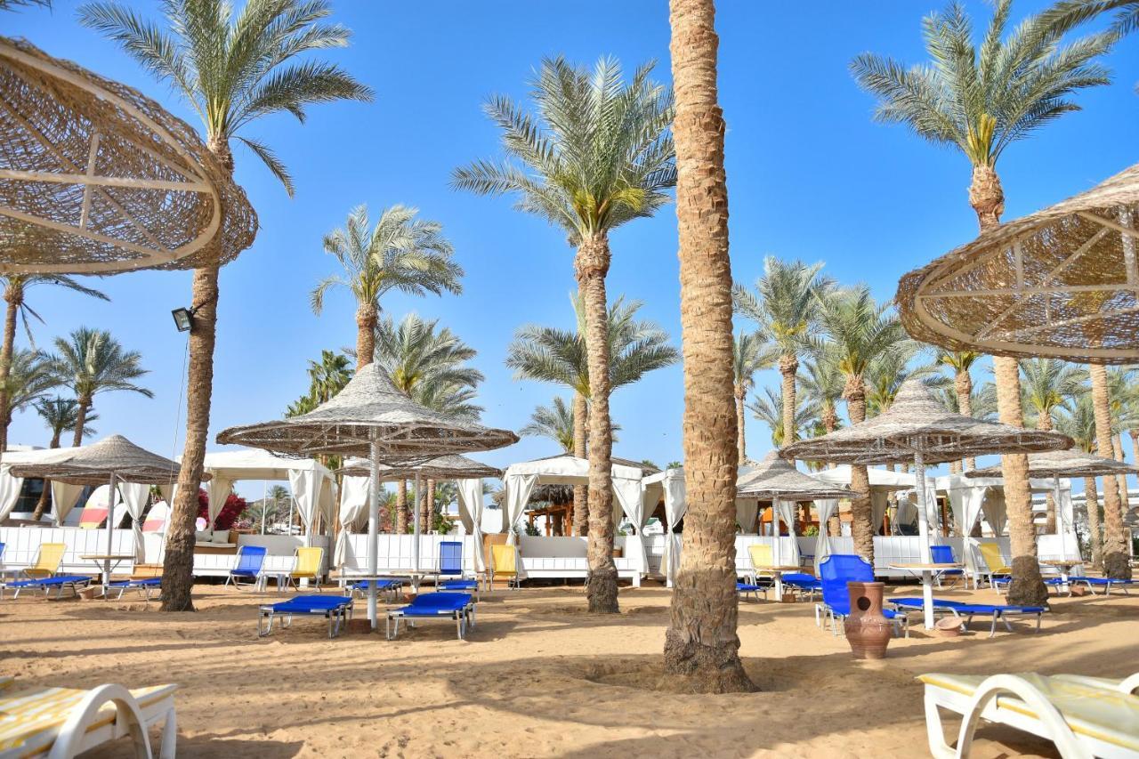 Seti Sharm Palm Beach Resort Families And Couples Only Kültér fotó