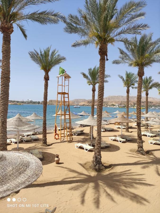 Seti Sharm Palm Beach Resort Families And Couples Only Kültér fotó