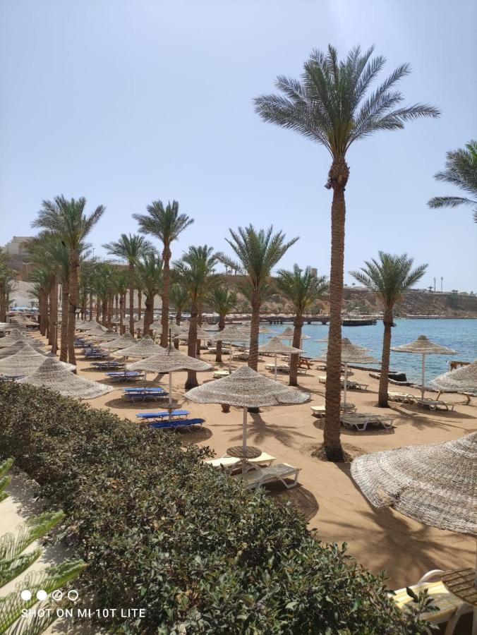 Seti Sharm Palm Beach Resort Families And Couples Only Kültér fotó